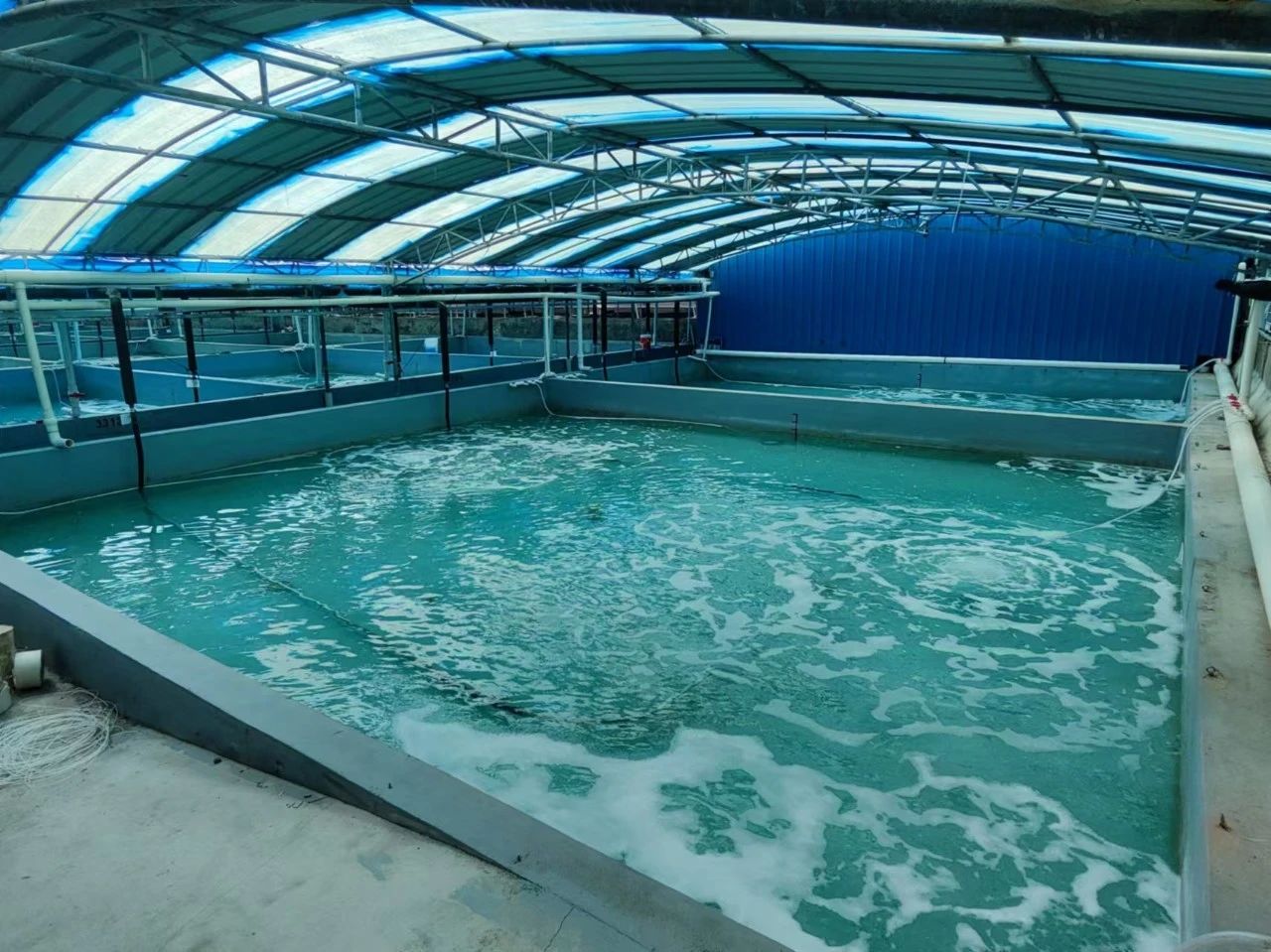 1731892086615173.jpg 95.jpg