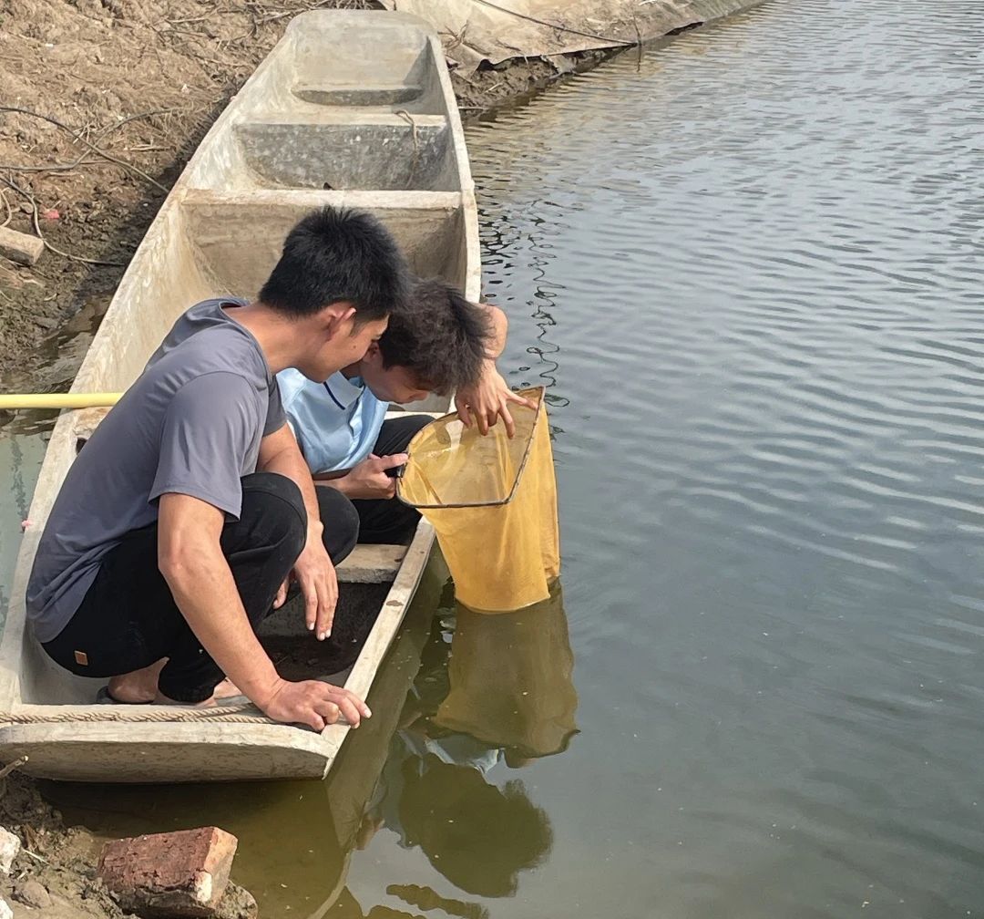 1733102197962577.jpg 104.jpg