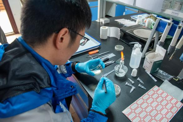 1736749010818693.png 117.png