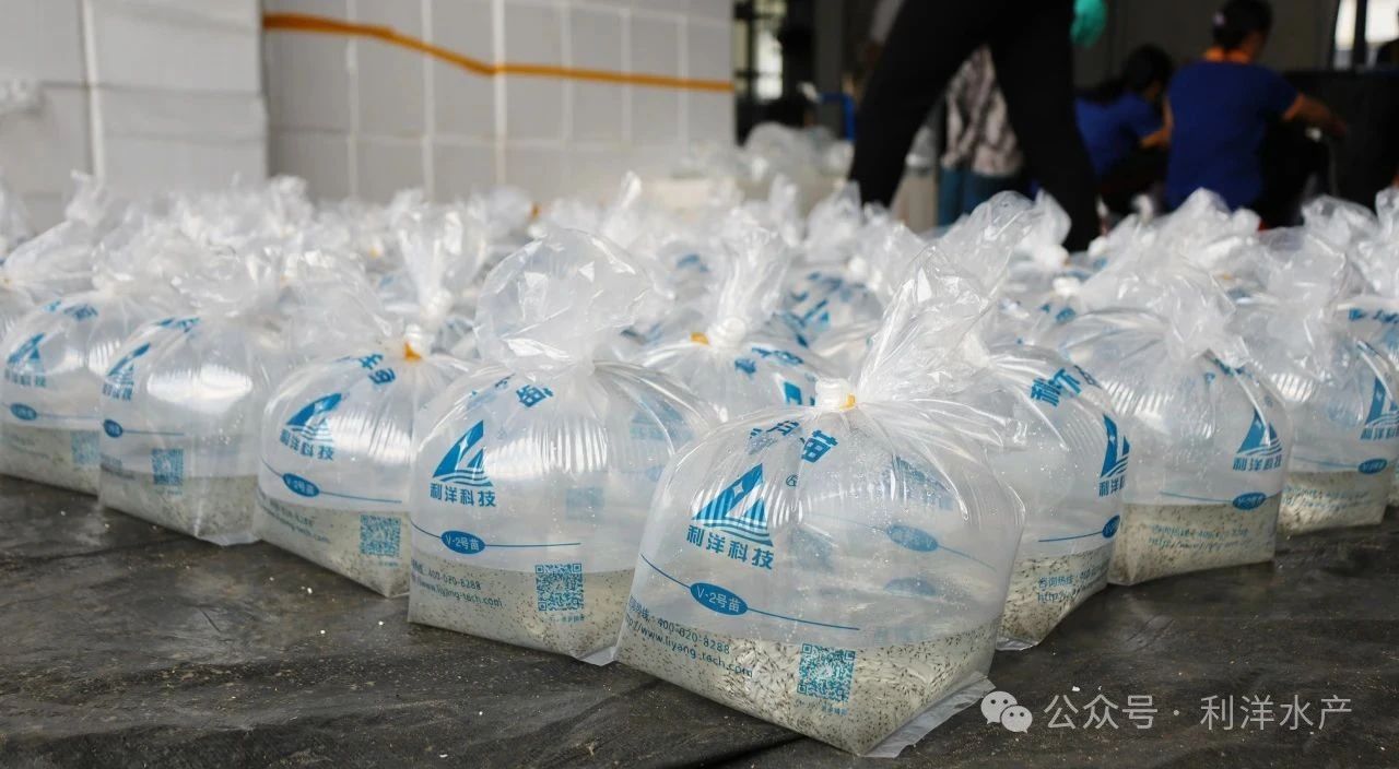 1750925743714317.jpg 138.jpg