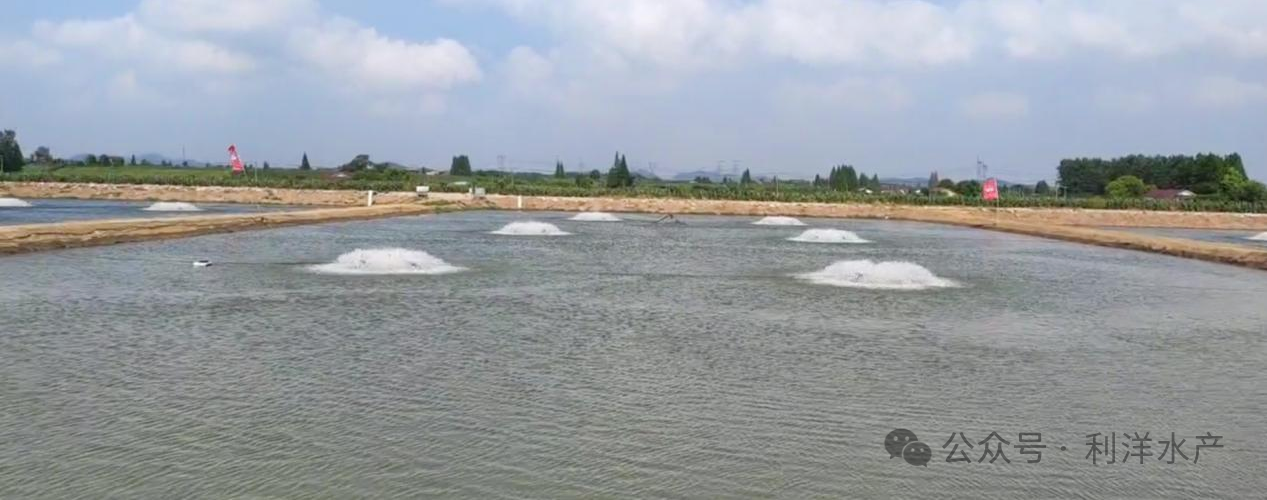 1756286689689679.png 119.png